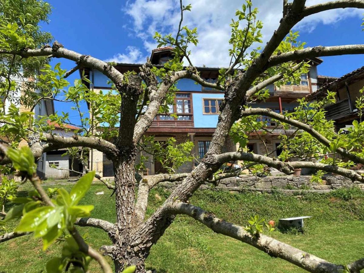 Casa Rural El Bohio Arriondas Extérieur photo